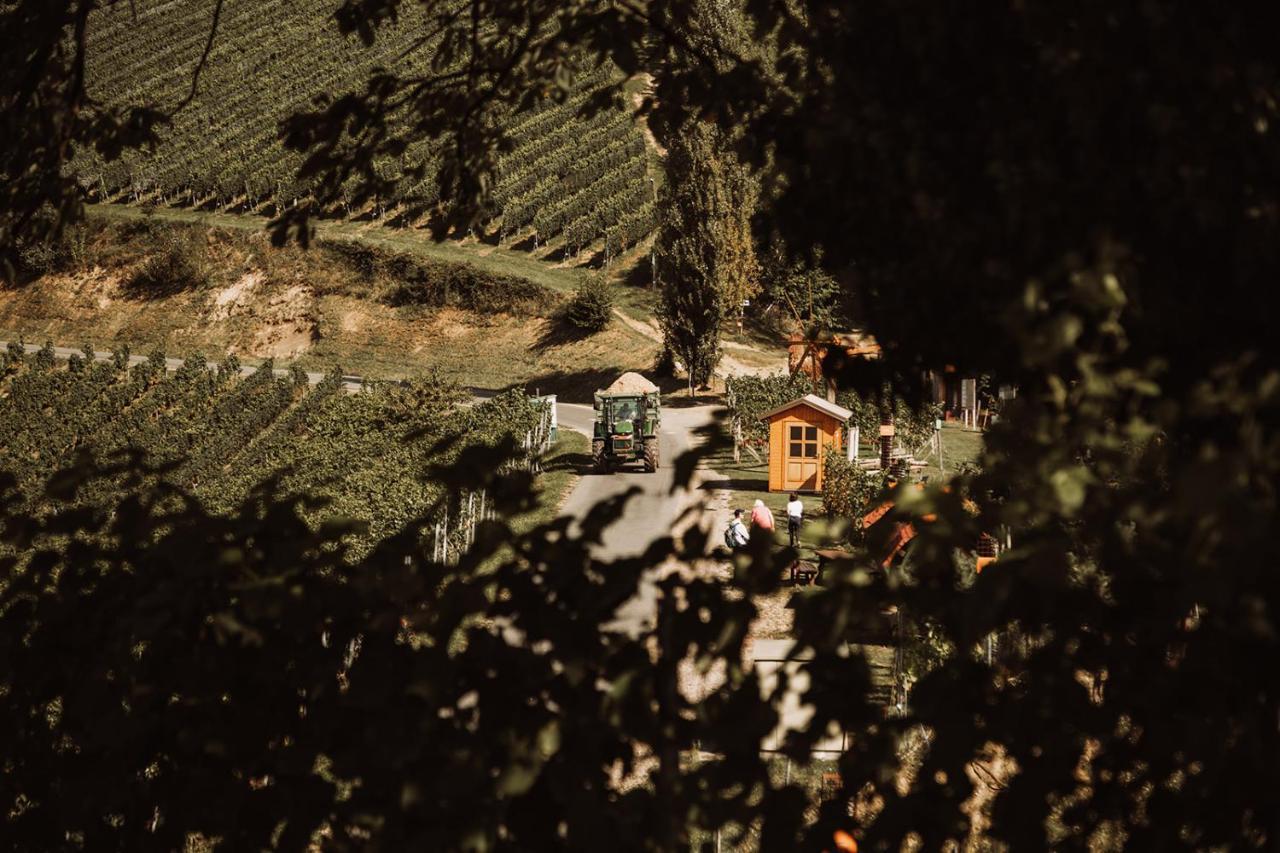 Villa Weingut Kollerhof Am Eichberg Leutschach Exterior foto